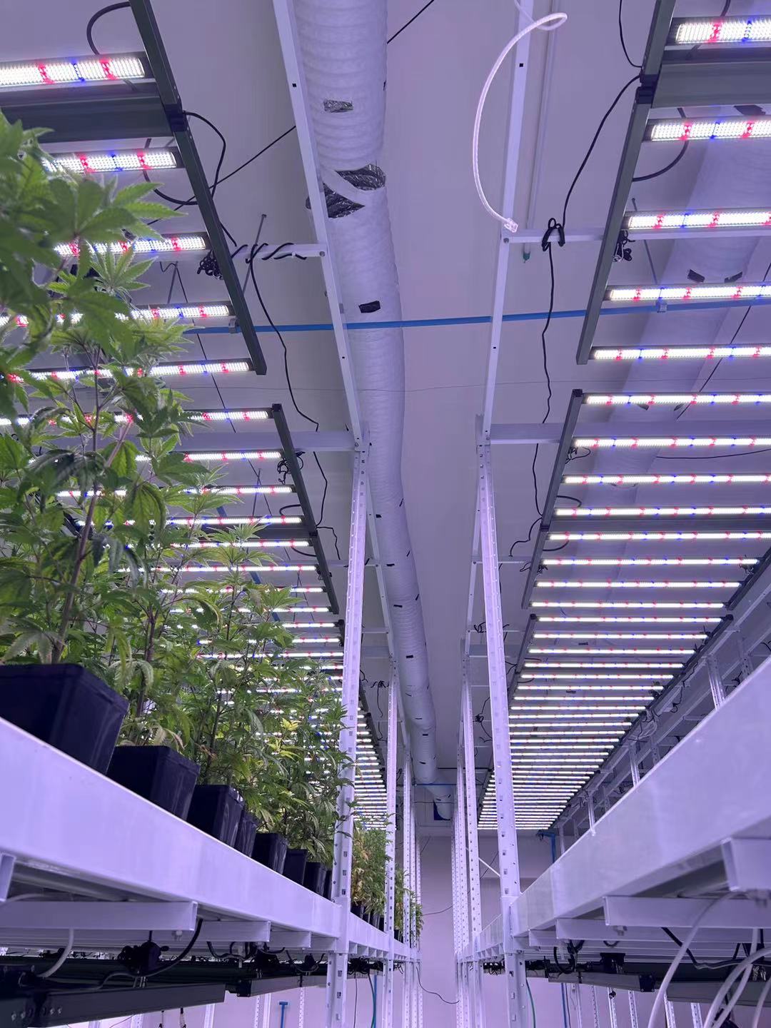 US Smart Control Project
