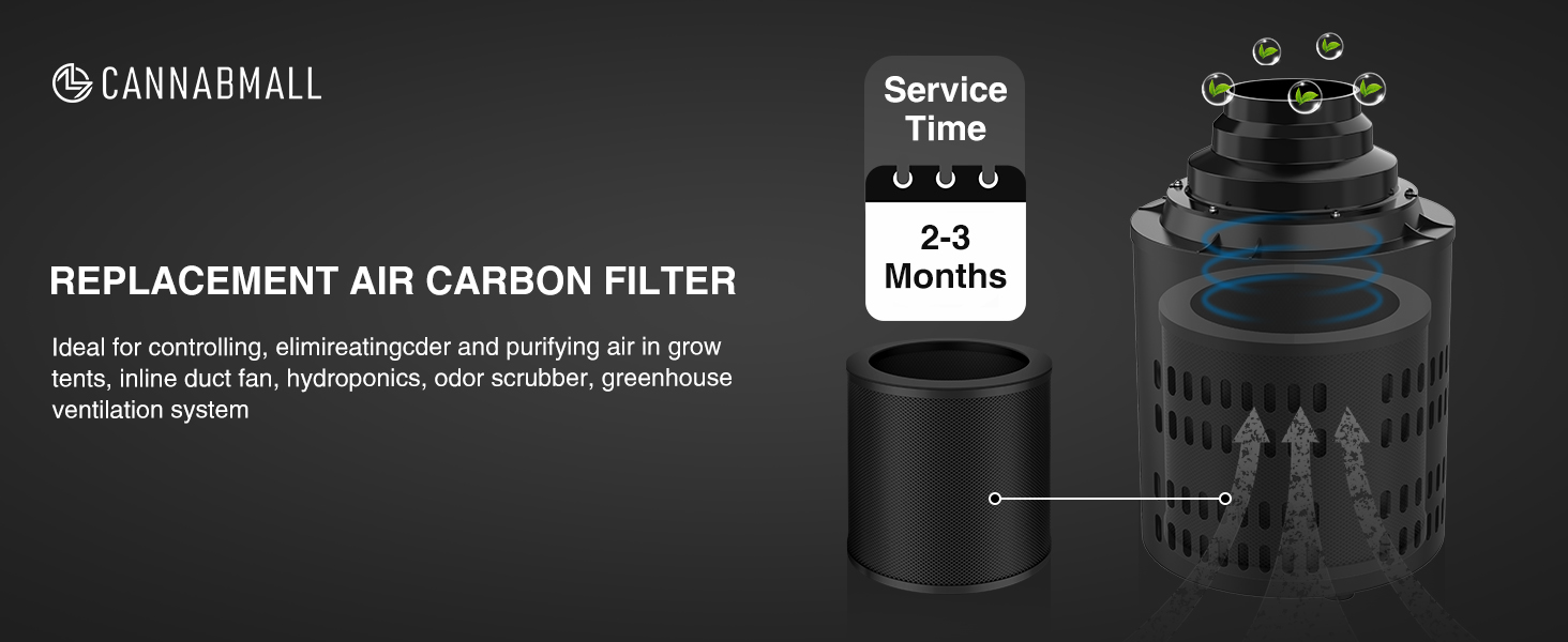 6 Inch Replacement Carbon Filter - 8